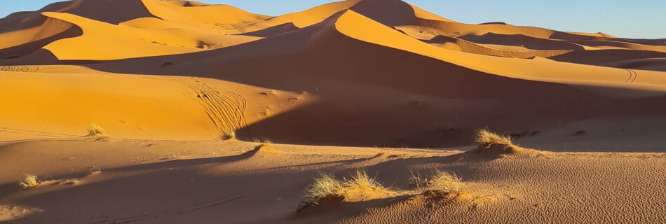 Merzouga Desert