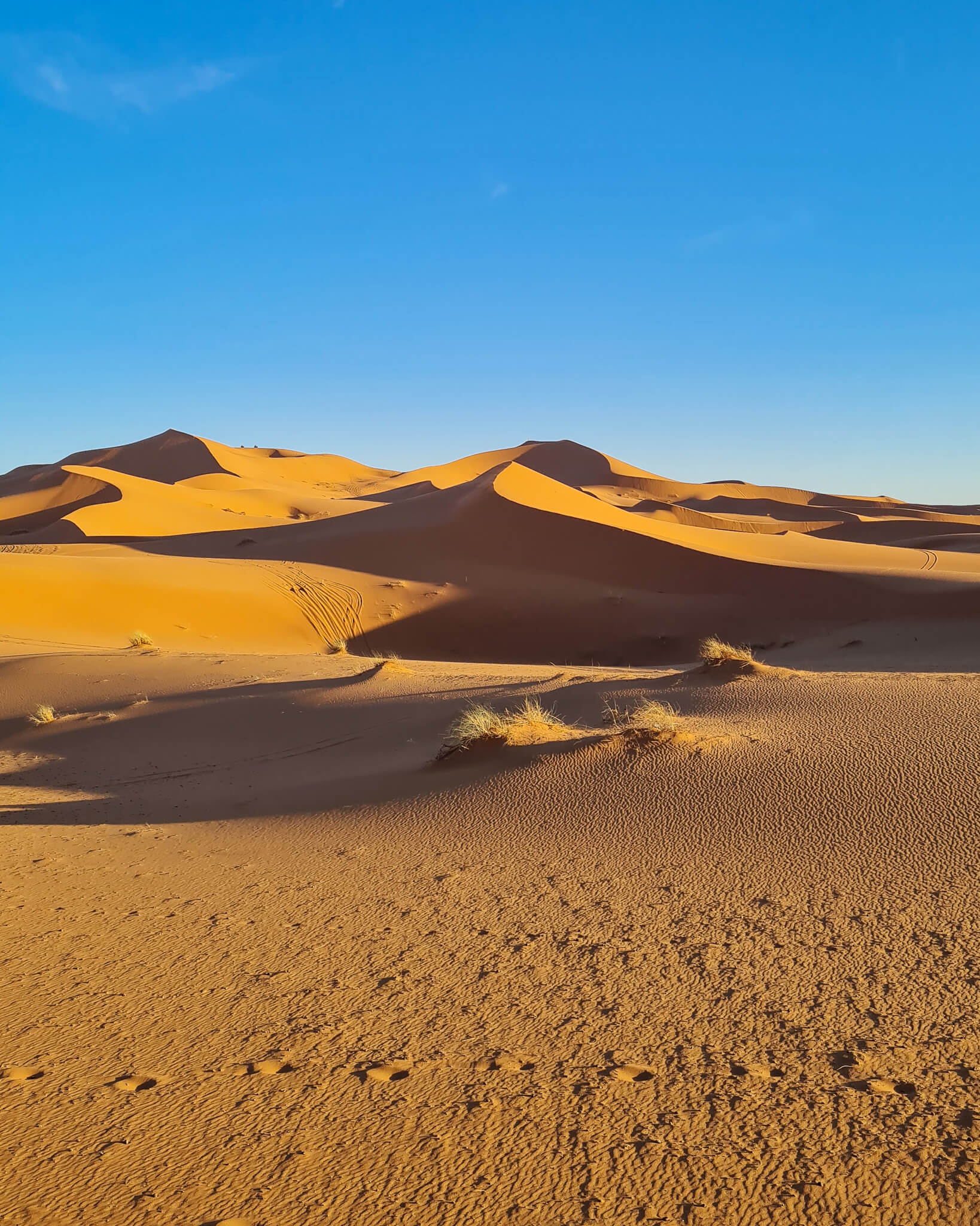 Merzouga Desert